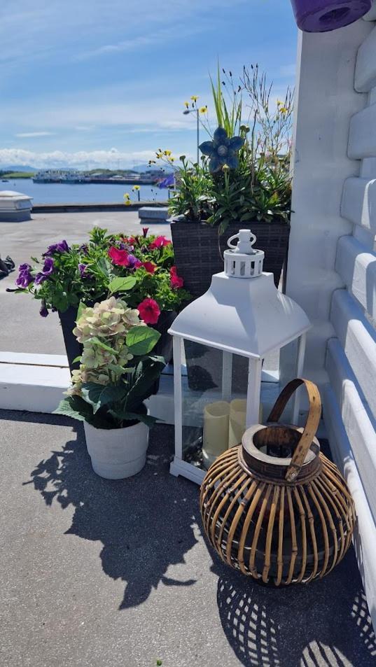 Rosie'S Apartments Killybegs Dış mekan fotoğraf